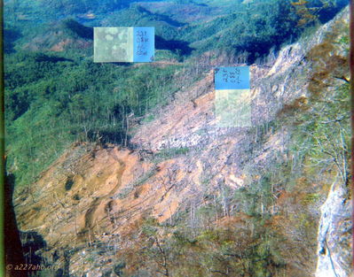 Road Into Laos
Lt. Mike Sprayberry Photo

Photo taken by Lt. Mike Sprayberry on 5 May 1968 from the top of LZ Tiger looking to the NW. Mike won the MOH for action at LZ Tiger along that road.
