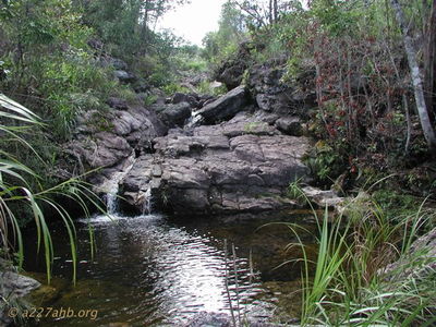 Creek on top of North end of Tiger
Doc McBride Photo

Modern Day A Shau

From Bob Witt. "Doc Mcbride, Mike Sprayberry's medic at LZ Tiger, took these pictures on his return trip to Vietnam. He returned the A Shau to look for his unit's MIA's lost at Tiger. Doc fortunately survived serious wounds received on the road below Tiger on April 25, 1968. Mike Sprayberry received the MOH for going out that night to rescue Doc & the rest of his patrol. Their unit was on board for the first Combat Assault's into LZ Tiger."
