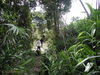 052McBCurrentstateoftrailalongbaseofTigerMtn.jpg