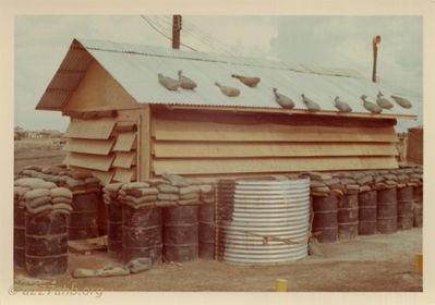  HHC/227 
Jay Dirnberger Photo

227th Battalion HHC CO hootch at Camp Evans

