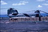 237R4K79.jpg