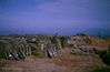 014Towne - Firebase 6 Pad.jpg