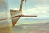 032Lachiondo tail.jpg