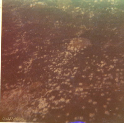 James Cooper Photo
