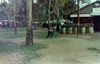 CraigTonjes347.jpg