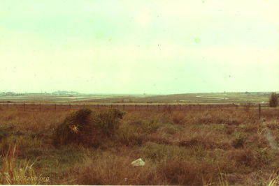 Richard Crane Photo
