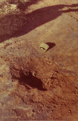 Richard Crane Photo
