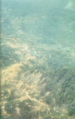 "Yellow Brick Road" in the A Shau Valley
Dan Nichols Photo
Provided by his family
