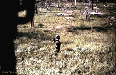 Long Range Patrol
Dave Ondrey Photo
