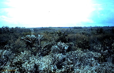 Soldier at the center bottom
Dave Ondrey Photo
