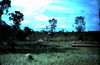 1969-06_160_ant_hills.JPG