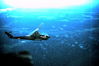 1969-06_178_cobra_gun_ship.JPG