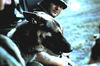 1969-06_252_long_range_patrol.jpg