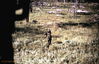 1969-06_253_long_range_patrol.jpg