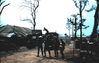 1969-08_419_Killer___Thais.jpg