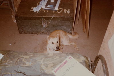 Floyd the Hooch Dog 
Dennis Howell Photo
