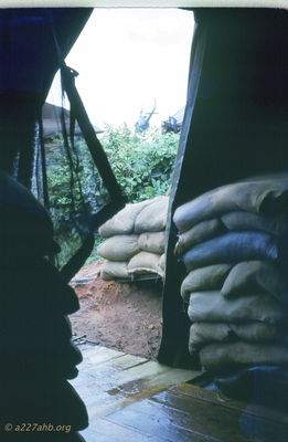  LZ Bird looking out of the tent on a rainny day. '67 
JP Edwards Photo
