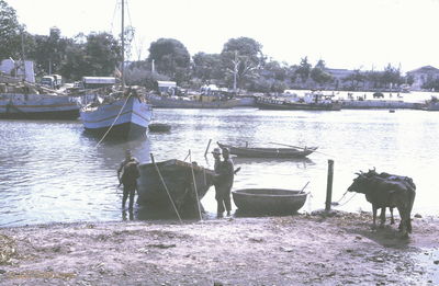  Phan Thiet fishing fleet '67 
JP Edwards Photo
