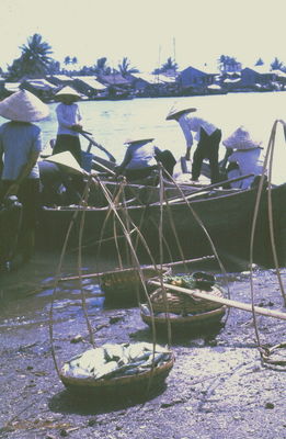  Phan Thiet fish harvest '67 
JP Edwards Photo
