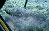 JPECombat127.jpg