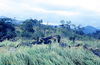 JPECombat133.jpg