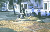 JPEPhanThiet031.jpg