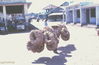 JPEPhanThiet040.jpg