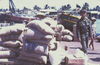 JPEPhanThiet051.jpg