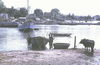 JPEPhanThiet069_2.jpg
