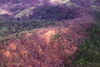HNB Crashsite2.jpg