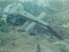 49BF2-26.jpg