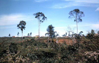 Da Lat
Jerry Westenskow Photo
