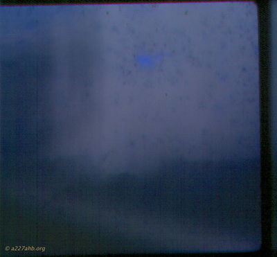 John Ray Photo
