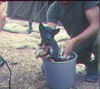 JRICorps356.jpg