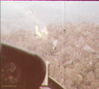 JRICorps440.jpg
