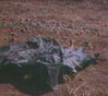 JRIIICorps409.jpg