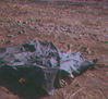JRIIICorps410.jpg