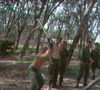 JRIIICorps582.jpg