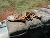 McBOldGIshoesatopoldsandbagsatKheSanh.jpg