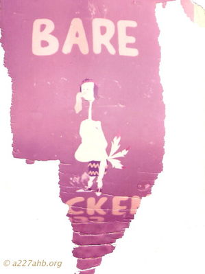 Bare Chicken
Terry Moore Photo

Bare Chicken, I can't recall the aircraft number.
