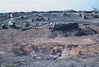 Hirschi13.jpg