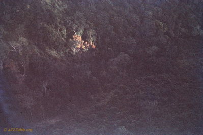 Lee King Photo
