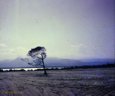 Lee King Photo
