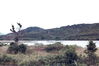 GLCountry_Side_Ninh_Hoa_4_67.jpg