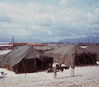 GLimg481.jpg