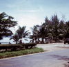 GLimg493.jpg