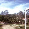 GLimg503.jpg