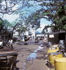 GLimg509.jpg