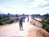 GLimg534.jpg