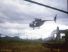 GLimg559.jpg